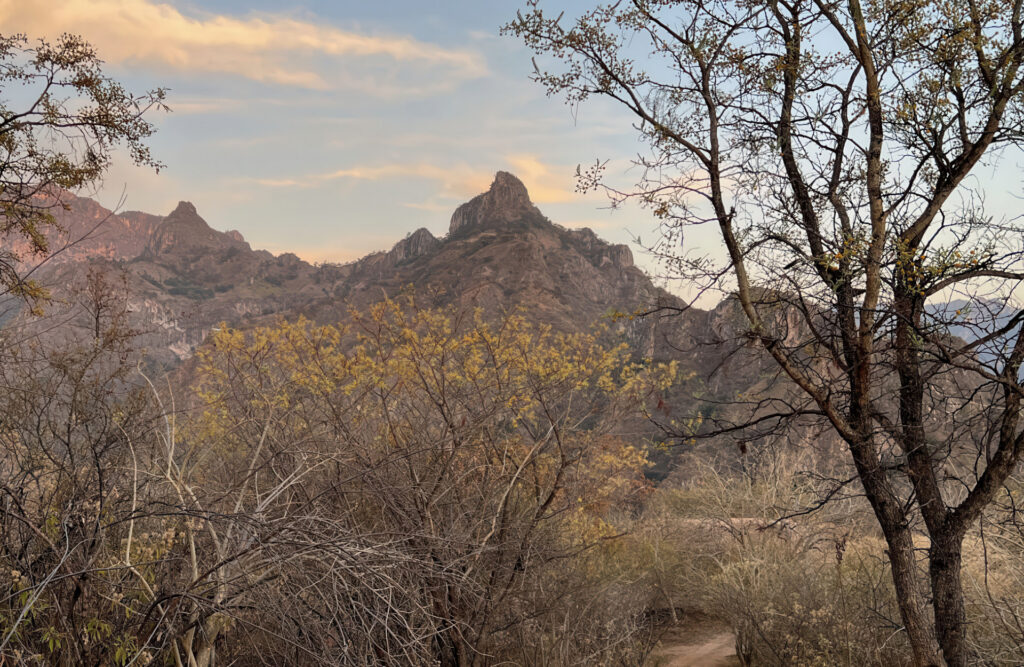 Hero Gigapixel Low Resolution V2 2x